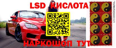 спайс Берёзовский