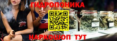 круглые Бийск