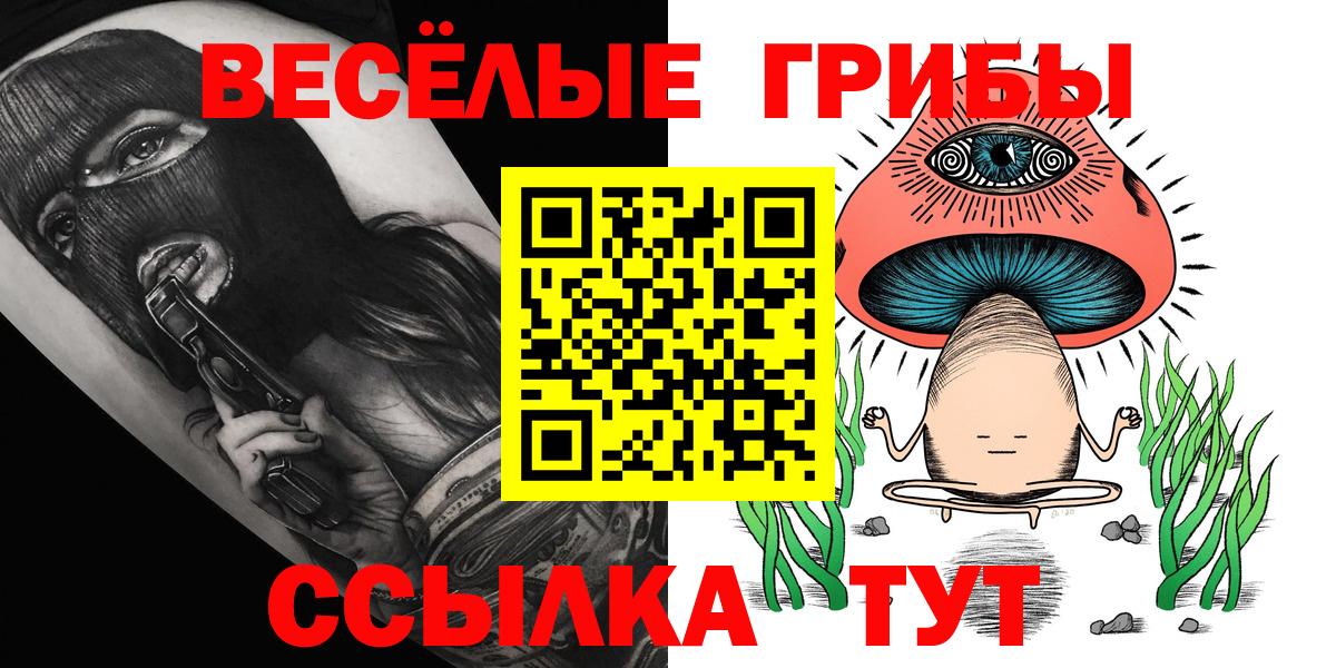 Псилоцибиновые грибы прущие грибы  закладки  Лосино-Петровский 